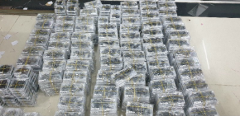 10D Eyelash Extension Fan Best Choice No Irritation Using For Personal Care Different Colors Packaging Tray Made In Vietnam