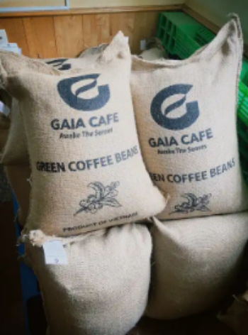 Arabica Green Coffee Beans Vietnamese Export Quality Processing on Demands Arabica Raw Coffee Beans Bulk Bag Packaging