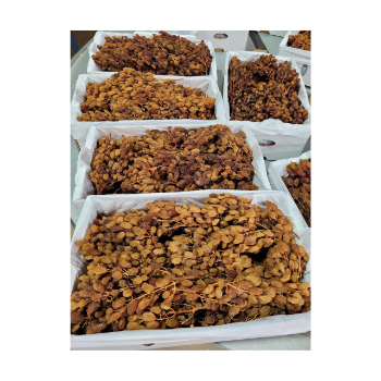 Healthy Food Drying Raisin OEM ODM Service Dried Grapes Manufacturer From Australian Raisin Raisin Grape Packaging In Vietnam