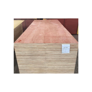 Fast Delivery High Quality Packing Plywood 5