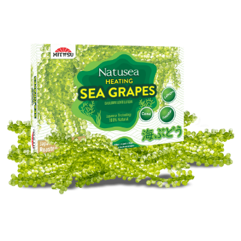 Dehydrated Sea Grapes Natural High Quality Nutritious Mitasu Jsc Customized Packaging Made In Vietnam Manufacturer