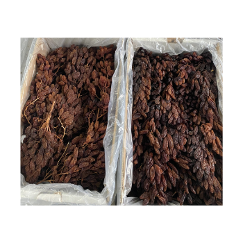 Good Vitamin Raisins Packaging In Vietnam OEM ODM Service Dried Grapes Manufacturer From Australian Raisin Grape Raisin Drying