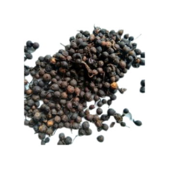 Black Pepper For Sale Best Selling Spicy Flavoring High Grade Product Carton Box Wooden Packaging Vietnam Manufacturer