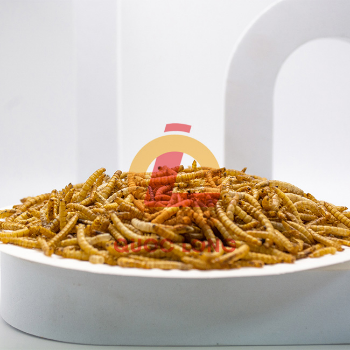 Mealworms Dried High Quality Export Animal Feed High Protein Pp Bag Made In Vietnam Manufacturer