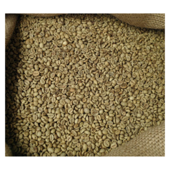 Bean To Cup Coffee Green Raw Coffee Beans Packaging Robusta Wholesale Manufacture Competitive Price