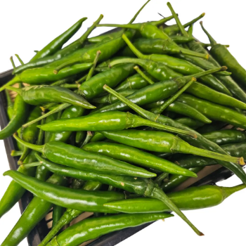 Best Selling Product From Vietnam Fresh Green Chilli High Quality Fresh Chili For Export Good Price