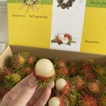 Whole Rambutan Ready To Ship Haccp Best Price Viet Tropical Fruit Customized Packaging From Vietnam Manufacturer
