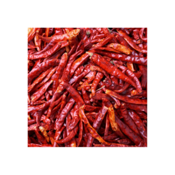 High Quality Dry Red Chilli Price Natural Fresh Raw Stick Natural Yellowish From Vietnam Manufacturer 4