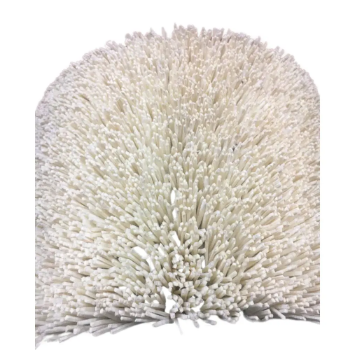 Customizable Sizes Glass Polishing Brush Industrial Stainless Steel Wire High Quality Fast Delivery ODM OEM Made In Vietnam
