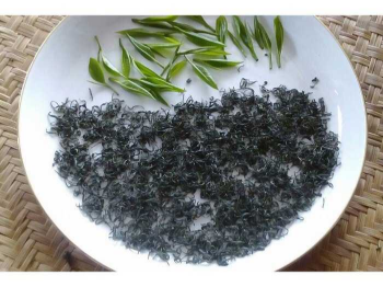 Whole Sale High Quality Hook Tea 100% Loose Tea Leaves From Fresh Tea Natural DBM Ready To Export Vietnam Manufacturer