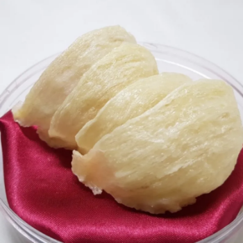 Good Quality Bird's Nest White Nest Tasteless Wholesale Edible Seven Drink from Vietnam Packaging Food & Beverage Product