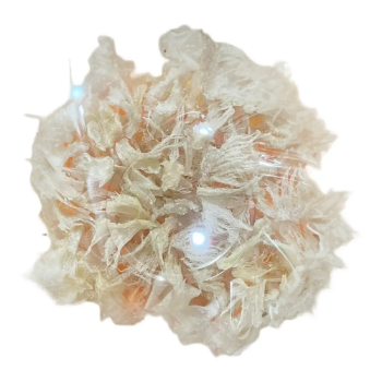 Health Cleaned Premium Bird's Nest Strips Natural Bird's Nest High Quality OEM Cheap Price Wholesale Made In Vietnam