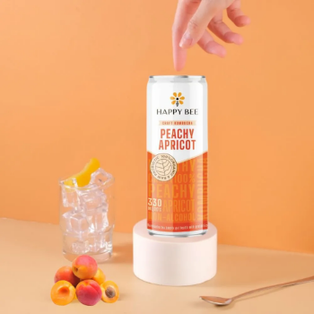 Kombucha Tea Drink High Quality Peachy Apricot Ready To Drink Wholesale Drink Directly Vietnam Manufacturer
