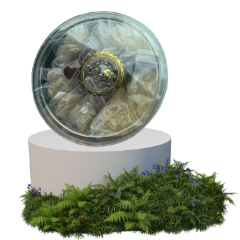 Nutritious Bird's Nest Set Top Choice Cleaned Premium Bird Nest Gift Box Cheap Price Ready To Export Wholesale Made In Vietnam