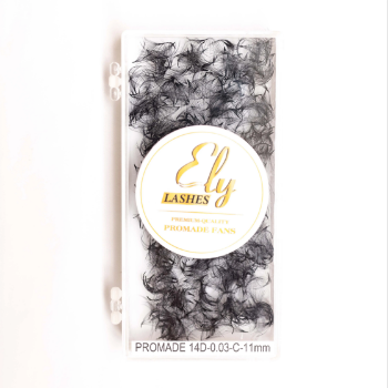 Top Selling Premade Eyelash Extensions Custom Packaging Design As Your Need Lash Extensions Soft Korean Silk Eyelash Extensions