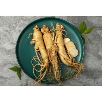 Whole Ginseng Root Plant Wholesale Natural Organic Wild Ginseng Root From Vietnam Manufacturer Dried Extract Premium Quality
