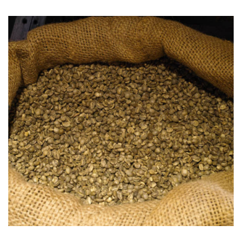 Wholesale Green Robusta Bean to Cup Coffee Competitive Price for Raw Coffee Beans Packaging