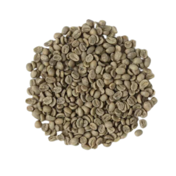 Wholesale to Coffee Variety Raw Coffee Bean Arabica Cafe Green Cup Beans Competitive Price with Quality Packaging Manufacturing