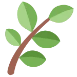 🌿