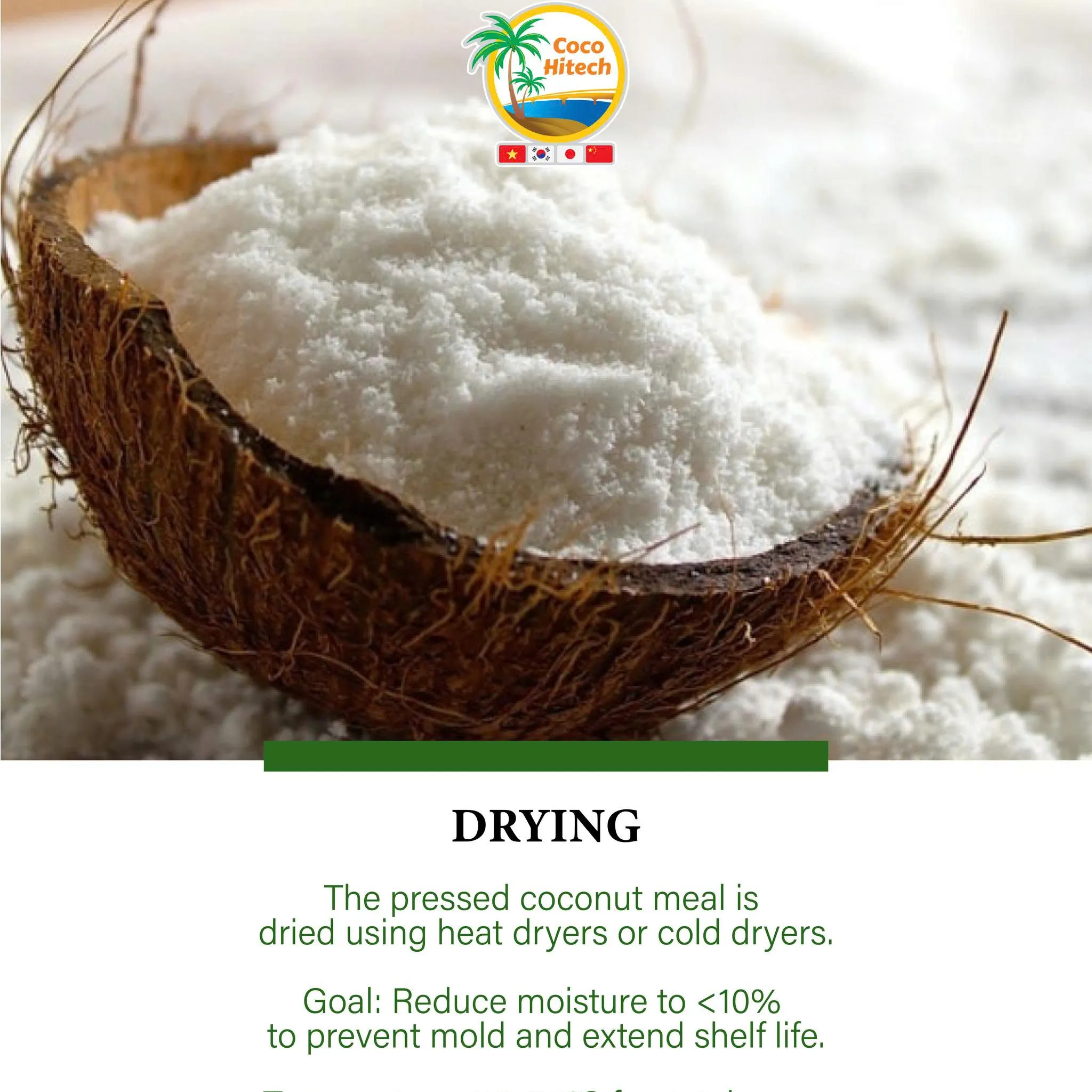 TOP CHOICE OF VIETNAMESE DESICCATED COCONUT MADE IN VIETNAM FROM COCOHITECH 6 TOP CHOICE OF VIETNAMESE DESICCATED COCONUT MADE IN VIETNAM FROM COCOHITECH 6