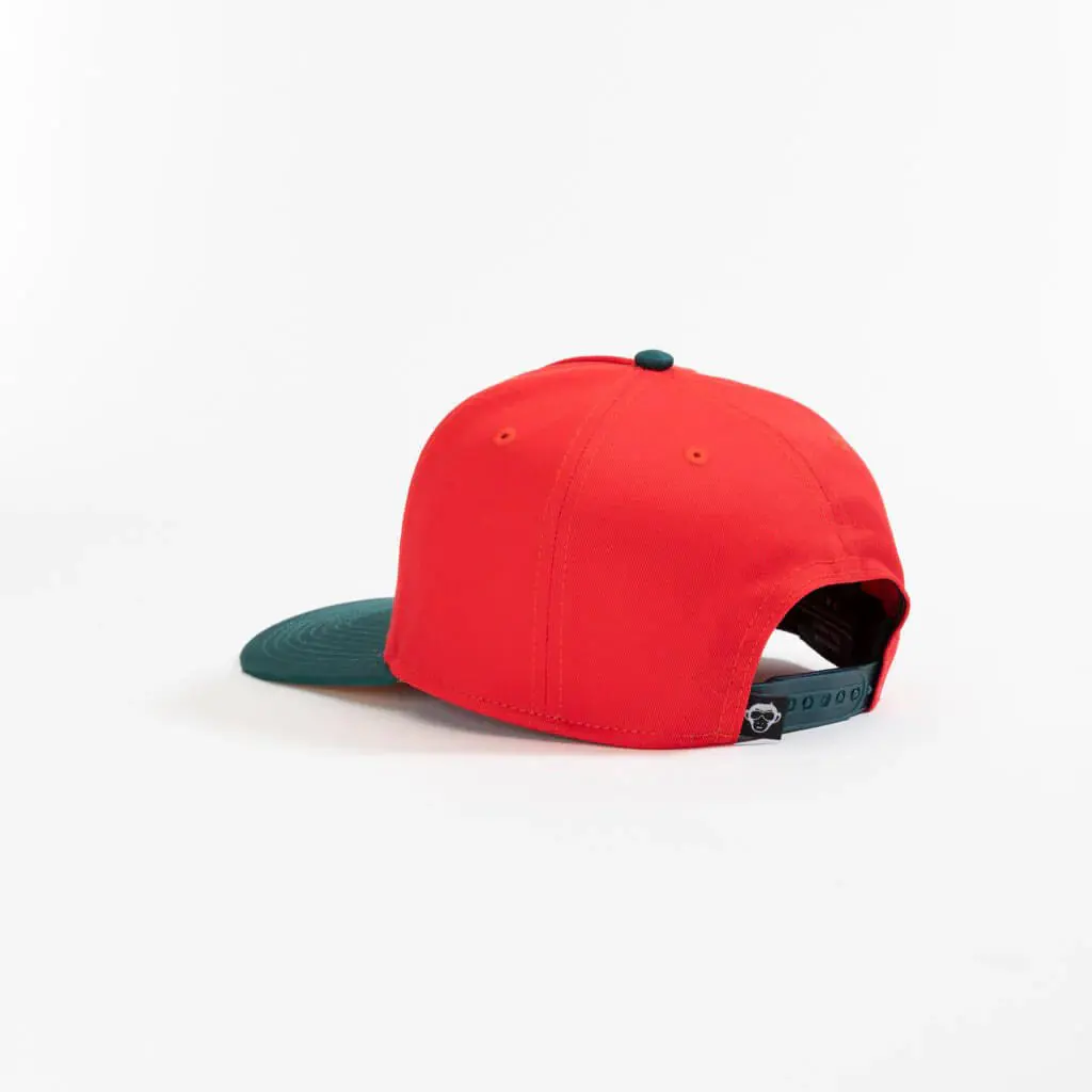 Wholesale 5-Panel Curved Brim High Quality Red Color Adjustable Medium Profile 65% Cotton and 35% Polyester Fabric Baseball Cap 4