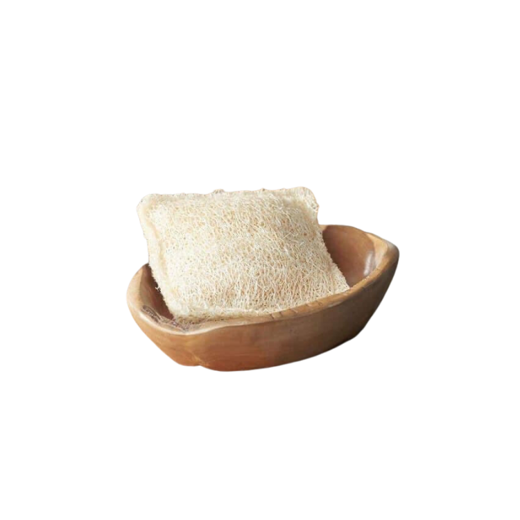 Loofah High Quality Eco-Friendly Natural Scrubbing Customized Packing Vietnam Manufacturer