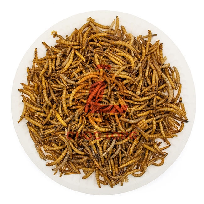 Dried Mealworm For Fish Professional Team Export Animal Feed High Protein Customized Packaging Vietnam Manufacturer
