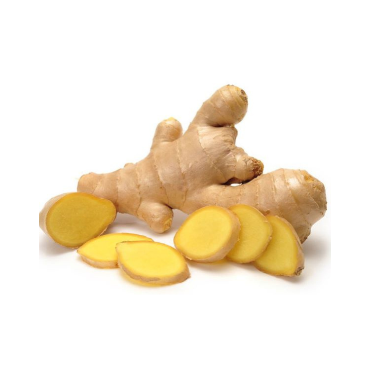 Fast Delivery Fresh Ginger Natural Fresh High Nutrients Organic Natural Yellowish Vietnam Manufacturer