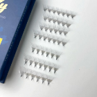 Volume Lashes Premade Lash Ultra Speed Lash 2D - 20D Bulk Price Custom Logo Fast Delivery Asian Manufacturer 4