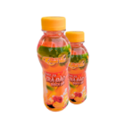 Wholesaler Coconut Jelly Peach Tea Juice Flavored Beverage Iso Packed In Box From Vietnam Factory 4