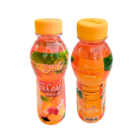Wholesaler Coconut Jelly Peach Tea Juice Flavored Beverage Iso Packed In Box From Vietnam Factory 5