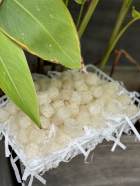 High Quality Baby Refined Bird's Nest Milky White Many nutrients help sleep 100Gr Each Box Energy Drink From Vietnam 4