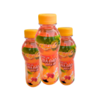 Wholesaler Coconut Jelly Peach Tea Juice Flavored Beverage Iso Packed In Box From Vietnam Factory 2