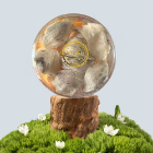 Fast Delivery Bird's Nest Vietnam Premium Bird's Nest Raw Natural Bird's Nest Ready To Export Nutritious Made In Vietnam 6