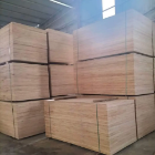 High Quality 15mm Eucalypse Plywood For Wholesale Sustainable Durable From Vietnam Manufacturer Fast Delivery Reasonable Price 4