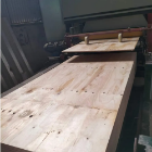 High Quality 15mm Eucalypse Plywood For Wholesale Sustainable Durable From Vietnam Manufacturer Fast Delivery Reasonable Price 6