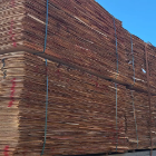 High Quality 15mm Eucalypse Plywood For Wholesale Sustainable Durable From Vietnam Manufacturer Fast Delivery Reasonable Price 3