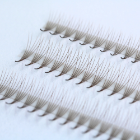 High Quality Color Lash Extension Supplies Branding Customization Lash Trays Pointy Base Eyelash Extensions C CC D DD B J L 2