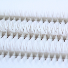 High Quality Color Lash Extension Supplies Branding Customization Lash Trays Pointy Base Eyelash Extensions C CC D DD B J L 1