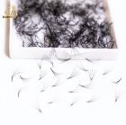 Premium Premade Fans Eyelashes Extensions Private Label Support OEM ODM As Request Individual Eyelash Natural Look Mix Length 1