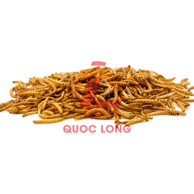 Dried Mealworms Competitive Price Export Animal Feed High Protein Customized Packaging Made In Vietnam Manufacturer
