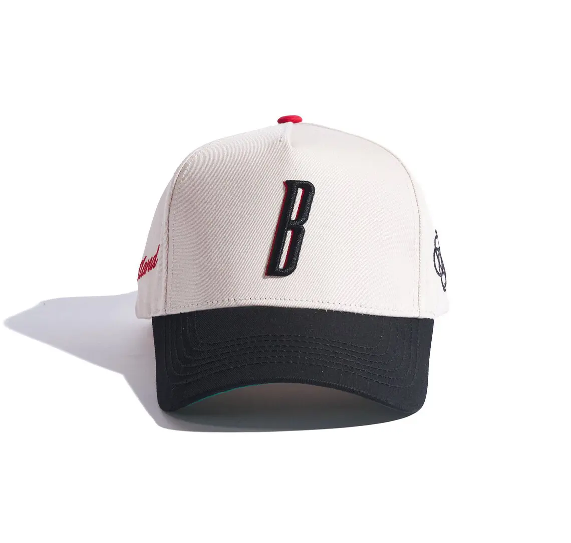 2 Tones Color Summer Products Custom Logo 3D Embroidery 5-Panel Curved Brim High Quality Medium Profile Wholesale Baseball Cap 1