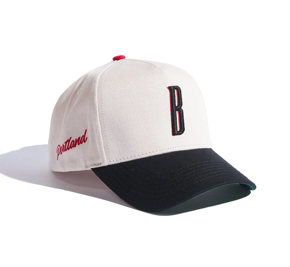 2 Tones Color Summer Products Custom Logo 3D Embroidery 5-Panel Curved Brim High Quality Medium Profile Wholesale Baseball Cap 2