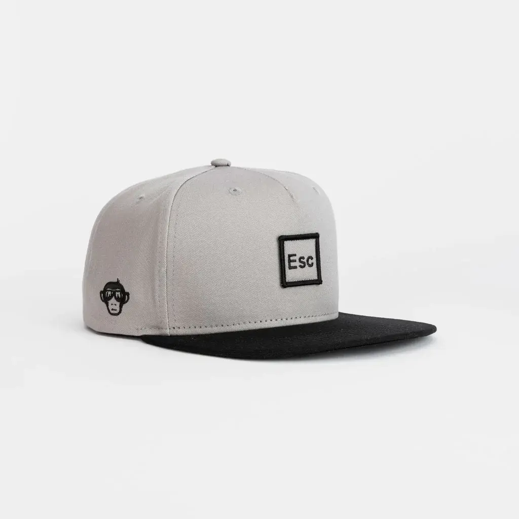 2D and 3D Embroidery 5-Panel Adjustable Grey Color Medium Profile Cotton/Polyester Fabric Snapback Cap From Vietnam Supplier 3