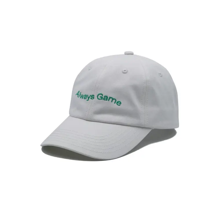 2D Embroidery 6-Panel Curved Brim High Quality White Color Low Profile 65% Cotton and 35% Polyester Fabric Baseball Cap 2