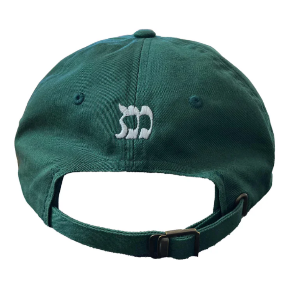 2D Flat Embroidery Baseball Cap 6 Panel Gorras Adjustable Slide Mental Buckle Closure Customized Color Semi Curved Wholesale OEM 4