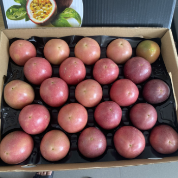 Passion Fruit Plant For Sale Fast Delivery Natural Fresh Organic Passion Fruits Making Juice Cakes Fresh Fruit Packaging Box Ready To Ship 3