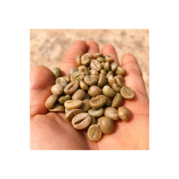 Good Price Robusta Vietnam Top Grade Caffeinated Healthy Drink Low MOQ Best Price For Export Hot Selling Brand Wholesale 2