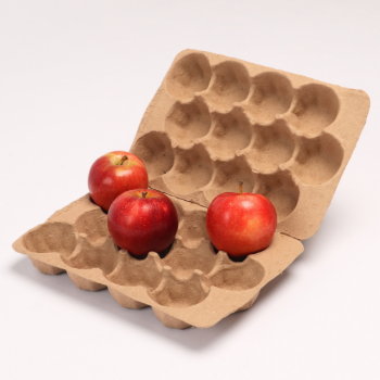 High Quality Tray fruit packing biodegradable paper tray Recyclable paper packing Molded Pulp Tray Made In Vietnam 4