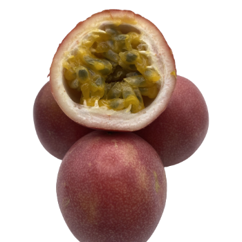 Passion Fruit Organic Ready To Ship Haccp High Quality Wholesales Fresh Carton Box Vietnam Manufacturer 3